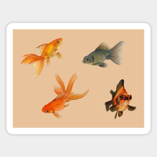 Golden fishes Magnet